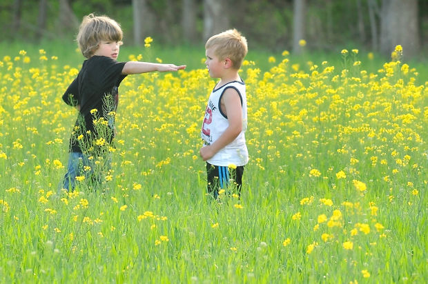 Field of Dreams